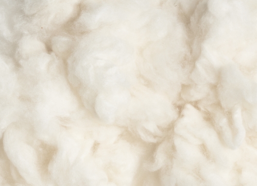 Fibra grezza di cashmere in tonalità bianco crema, caratterizzata da una texture morbida e naturale.