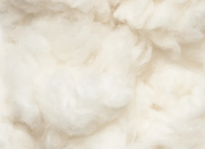 Fibra grezza di cashmere in tonalità bianco crema, caratterizzata da una texture morbida e naturale.