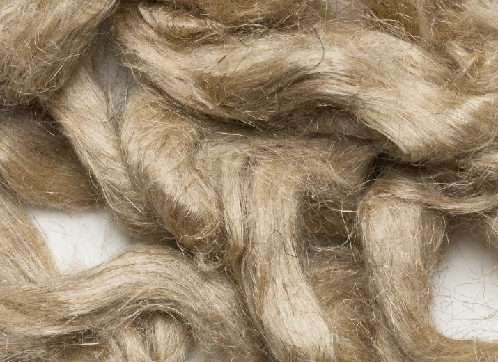 Fibre di lino grezze, morbide e resistenti, pronte per essere lavorate in tessuti di alta qualità.